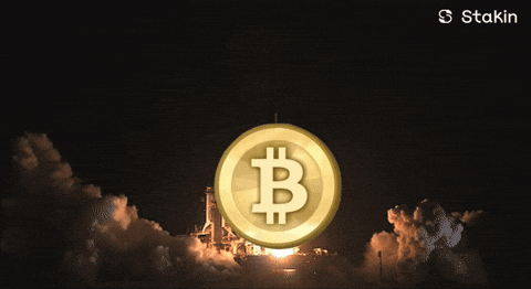 Bitcoin to the moon